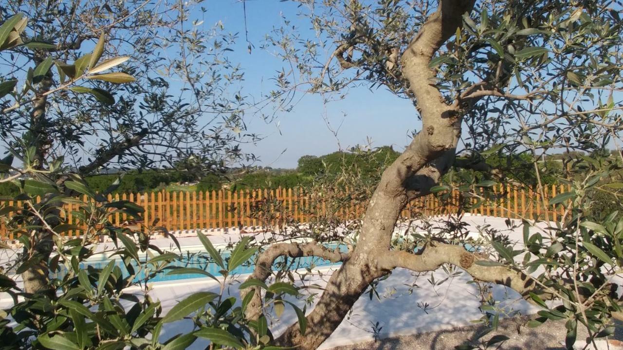 Villa Il Carpino Martina Franca Exterior foto