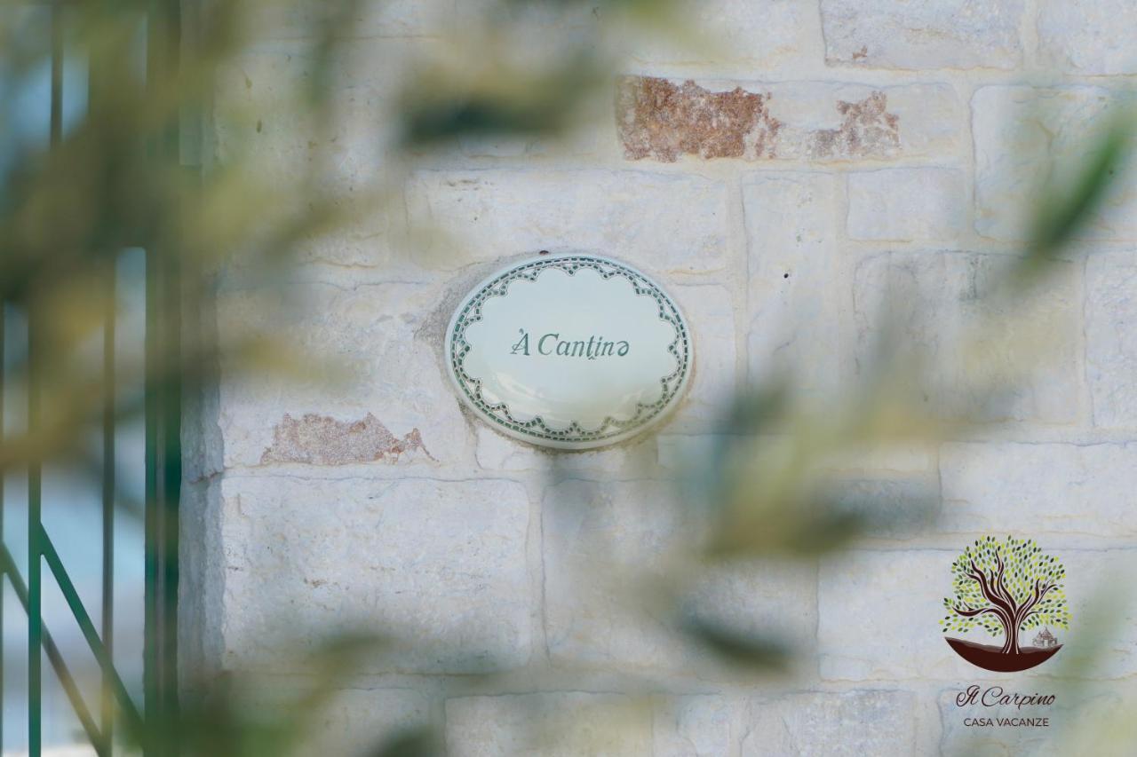 Villa Il Carpino Martina Franca Exterior foto